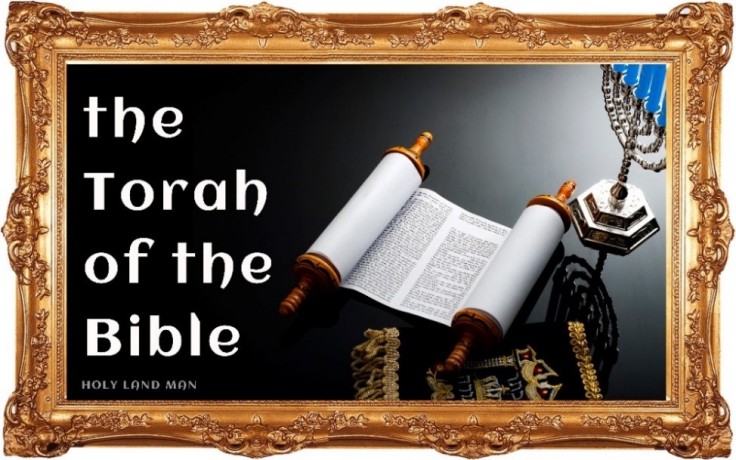 THE TORAH OF THE BIBLE - Holy Land Man